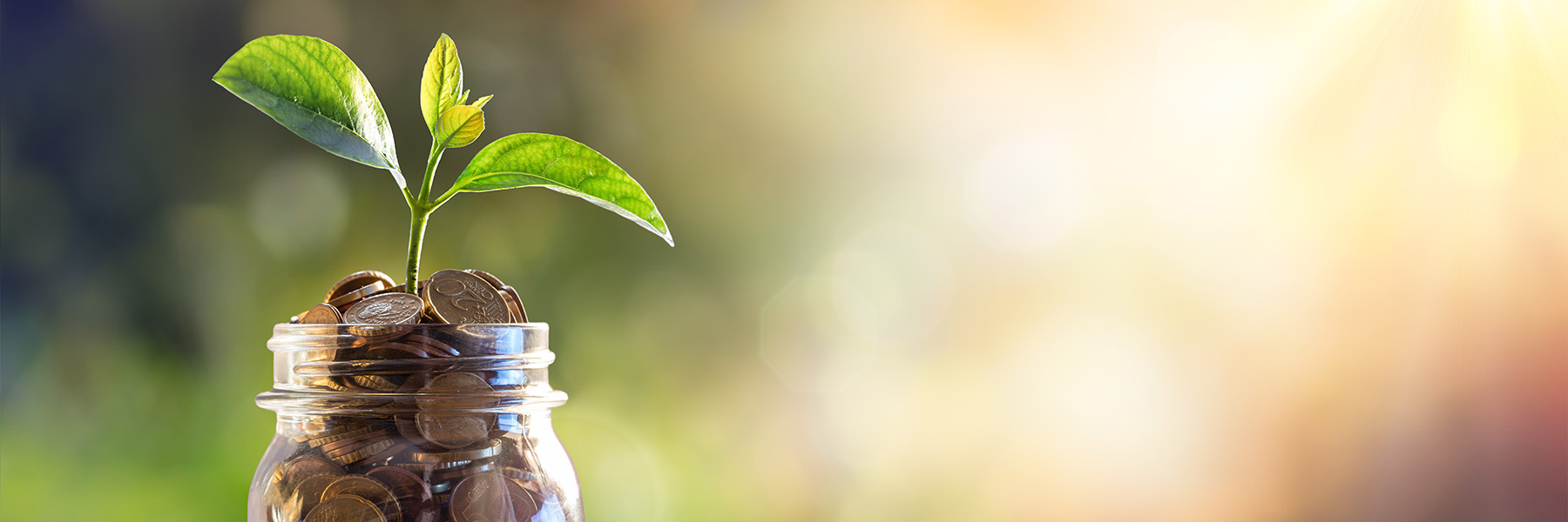 Growing savings